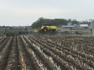 Planting corn into fall zones